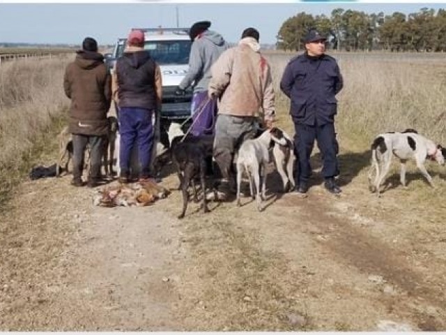 Cuatro hombres infraccionados por caza furtiva en Loma Negra